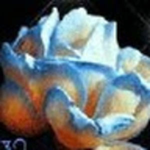 Meet your Posher, Yaoska